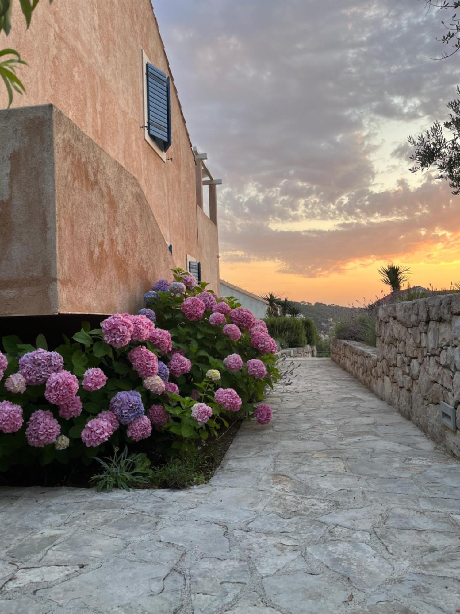 Villa Authentica Lopud, Dubrovnik Exterior photo